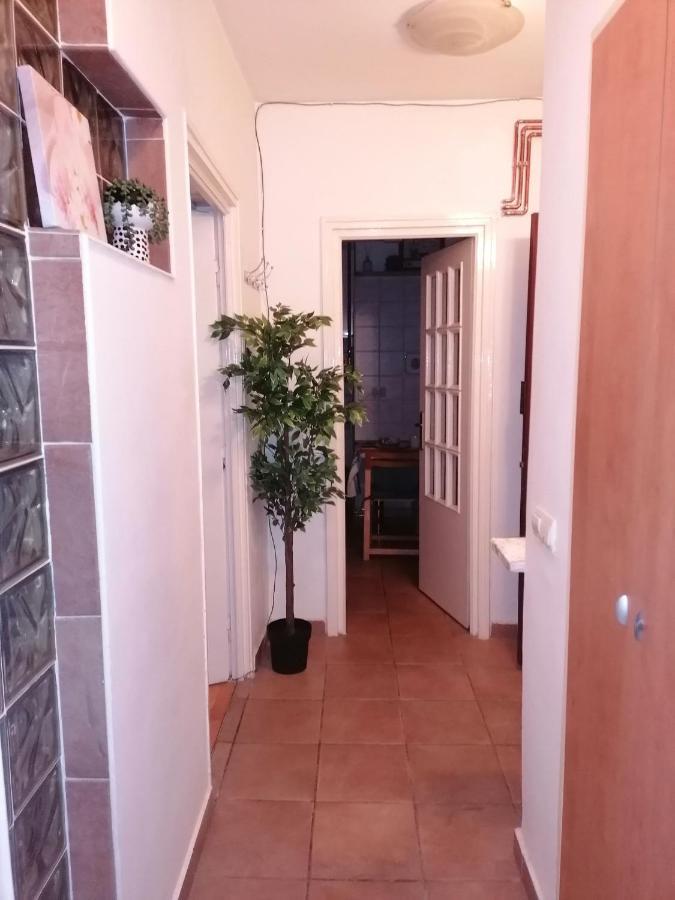 River View, In City Center Apartment Bukarest Kültér fotó